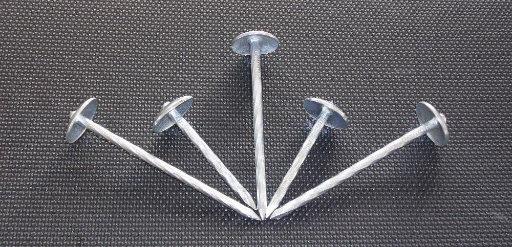 1763520479857127.jpg 215ae01003f5769e38c5c110b8a5de78.jpg